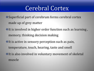 Cerebral Cortex
Superficial part of cerebrum forms cerebral cortex
made up of grey matter
It is involved in higher order function such as learning ,
memory, thinking decision making
It is active in sensory perception such as pain,
temperature, touch, hearing, taste and smell
It is also involved in voluntary movement of skeletal
muscle
 