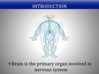INTRODUCTION
Brain is the primary organ involved in
nervous system
 