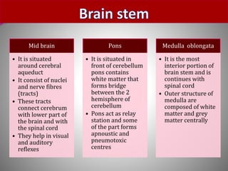 Mid brain
• It is situated
around cerebral
aqueduct
• It consist of nuclei
and nerve fibres
(tracts)
• These tracts
connect cerebrum
with lower part of
the brain and with
the spinal cord
• They help in visual
and auditory
reflexes
Pons
• It is situated in
front of cerebellum
pons contains
white matter that
forms bridge
between the 2
hemisphere of
cerebellum
• Pons act as relay
station and some
of the part forms
apnoustic and
pneumotoxic
centres
Medulla oblongata
• It is the most
interior portion of
brain stem and is
continues with
spinal cord
• Outer structure of
medulla are
composed of white
matter and grey
matter centrally
 
