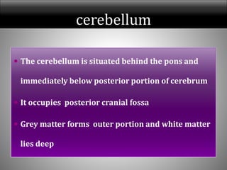 cerebellum
 The cerebellum is situated behind the pons and
immediately below posterior portion of cerebrum
 It occupies posterior cranial fossa
 Grey matter forms outer portion and white matter
lies deep
 