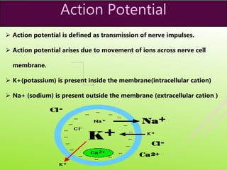 Action Potential
 Action potential is defined as transmission of nerve impulses.
 Action potential arises due to movement of ions across nerve cell
membrane.
 K+(potassium) is present inside the membrane(intracellular cation)
 Na+ (sodium) is present outside the membrane (extracellular cation )
 