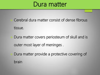 Dura matter
 Cerebral dura matter consist of dense fibrous
tissue.
 Dura matter covers periosteum of skull and is
outer most layer of meninges .
 Dura matter provide a protective covering of
brain
 