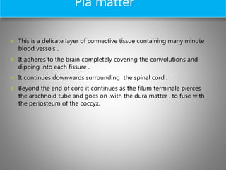 Pia matter
 This is a delicate layer of connective tissue containing many minute
blood vessels .
 It adheres to the brain completely covering the convolutions and
dipping into each fissure .
 It continues downwards surrounding the spinal cord .
 Beyond the end of cord it continues as the filum terminale pierces
the arachnoid tube and goes on ,with the dura matter , to fuse with
the periosteum of the coccyx.
 