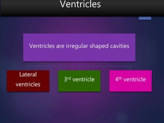 Ventricles
Ventricles are irregular shaped cavities
Lateral
ventricles
3rd ventricle 4th ventricle
 