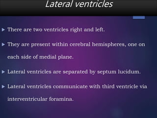 Lateral ventricles
 There are two ventricles right and left.
 They are present within cerebral hemispheres, one on
each side of medial plane.
 Lateral ventricles are separated by septum lucidum.
 Lateral ventricles communicate with third ventricle via
interventricular foramina.
 