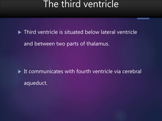 The third ventricle
 Third ventricle is situated below lateral ventricle
and between two parts of thalamus.
 It communicates with fourth ventricle via cerebral
aqueduct.
 