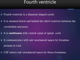 Fourth ventricle
 Fourth ventricle is a diamond shaped cavity
 It is situated below and behind the third ventricle between the
cerebellum and pons.
 It is continuous with central canal of spinal cord.
 It communicates with sub-arachanoid space by foramina
present in roof.
 CSF enters sub-arachanoid space by these foraminas.
 