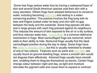 Some tree frogs reduce water loss by having a waterproof layer of
skin and several South American species coat their skin with a
waxy secretion. Others frogs have adopted behaviours to conserve
water, including becoming nocturnal and resting in a water-
conserving position. This posture involves the frog lying with its
toes and fingers tucked under its body and chin with no gap
between the body and the substrate. Some frog species will also
rest in large groups with each frog pressed against its neighbours.
This reduces the amount of skin exposed to the air or a dry surface,
and thus reduces water loss. Camouflage is a common defensive
mechanism in frogs. Most camouflaged frogs are nocturnal, which
adds to their ability to hide. Nocturnal frogs usually find the ideal
camouflaged position during the day to sleep. Some frogs have
the ability to change colour, but this is usually restricted to shades
of one or two colours. Features such as warts and skin folds are
usually found on ground-dwelling frogs, where a smooth skin would
not disguise them effectively. Arboreal frogs usually have smooth
skin, enabling them to disguise themselves as leaves. Certain frogs
change colour between night and day, as light and moisture
stimulate the pigment cells and cause them to expand or contract.
 