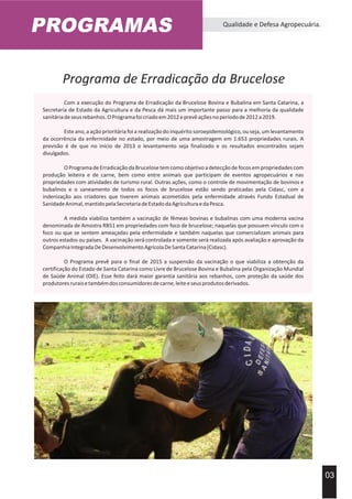 PROGRAMAS Qualidade e Defesa Agropecuária.
03
Programa de Erradicação da Brucelose
Com a execução do Programa de Erradicação da Brucelose Bovina e Bubalina em Santa Catarina, a
Secretaria de Estado da Agricultura e da Pesca dá mais um importante passo para a melhoria da qualidade
sanitáriadeseusrebanhos.OProgramafoicriadoem2012eprevêaçõesnoperíodode2012a2019.
Este ano, a ação prioritária foi a realização do inquérito soroepidemiológico, ou seja, um levantamento
da ocorrência da enfermidade no estado, por meio de uma amostragem em 1.653 propriedades rurais. A
previsão é de que no início de 2013 o levantamento seja finalizado e os resultados encontrados sejam
divulgados.
OProgramadeErradicaçãodaBrucelosetemcomoobjetivoadetecçãodefocosempropriedadescom
produção leiteira e de carne, bem como entre animais que participam de eventos agropecuários e nas
propriedades com atividades de turismo rural. Outras ações, como o controle de movimentação de bovinos e
bubalinos e o saneamento de todos os focos de brucelose estão sendo praticadas pela Cidasc, com a
indenização aos criadores que tiverem animais acometidos pela enfermidade através Fundo Estadual de
SanidadeAnimal,mantidopelaSecretariadeEstadodaAgriculturaedaPesca.
A medida viabiliza também a vacinação de fêmeas bovinas e bubalinas com uma moderna vacina
denominada de Amostra RB51 em propriedades com foco de brucelose; naquelas que possuem vínculo com o
foco ou que se sentem ameaçadas pela enfermidade e também naquelas que comercializam animais para
outros estados ou países. A vacinação será controlada e somente será realizada após avaliação e aprovação da
CompanhiaIntegradaDeDesenvolvimentoAgrícolaDeSantaCatarina(Cidasc).
O Programa prevê para o final de 2015 a suspensão da vacinação o que viabiliza a obtenção da
certificação do Estado de Santa Catarina como Livre de Brucelose Bovina e Bubalina pela Organização Mundial
de Saúde Animal (OIE). Esse feito dará maior garantia sanitária aos rebanhos, com proteção da saúde dos
produtoresruraisetambémdosconsumidoresdecarne,leiteeseusprodutosderivados.
 