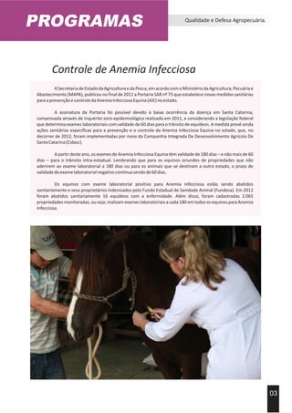PROGRAMAS Qualidade e Defesa Agropecuária.
03
Controle de Anemia Infecciosa
ASecretariadeEstadodaAgriculturaedaPesca,emacordocomoMinistériodaAgricultura,Pecuáriae
Abastecimento (MAPA), publicou no final de 2011 a Portaria SAR nº 75 que estabelece novas medidas sanitárias
paraaprevençãoecontroledaAnemiaInfecciosaEquina(AIE)noestado.
A assinatura da Portaria foi possível devido à baixa ocorrência da doença em Santa Catarina,
comprovada através de inquérito soro-epidemiológico realizado em 2011, e considerando a legislação federal
que determina exames laboratoriais com validade de 60 dias para o trânsito de equídeos. A medida prevê ainda
ações sanitárias específicas para a prevenção e o controle da Anemia Infecciosa Equina no estado, que, no
decorrer de 2012, foram implementadas por meio da Companhia Integrada De Desenvolvimento Agrícola De
SantaCatarina(Cidasc).
A partir deste ano, os exames de Anemia Infecciosa Equina têm validade de 180 dias – e não mais de 60
dias – para o trânsito intra-estadual. Lembrando que para os equinos oriundos de propriedades que não
aderirem ao exame laboratorial a 180 dias ou para os animais que se destinam a outro estado, o prazo de
validadedoexamelaboratorialnegativocontinuasendode60dias.
Os equinos com exame laboratorial positivo para Anemia Infecciosa estão sendo abatidos
sanitariamente e seus proprietários indenizados pelo Fundo Estadual de Sanidade Animal (Fundesa). Em 2012
foram abatidos sanitariamente 16 equídeos com a enfermidade. Além disso, foram cadastradas 2.065
propriedades monitoradas, ou seja, realizam exames laboratoriais a cada 180 em todos os equinos para Anemia
Infecciosa.
 