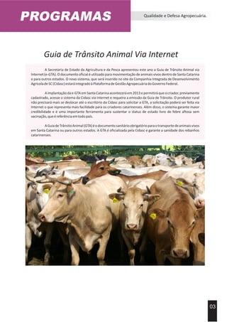 PROGRAMAS Qualidade e Defesa Agropecuária.
03
Guia de Trânsito Animal Via Internet
A Secretaria de Estado da Agricultura e da Pesca apresentou este ano a Guia de Trânsito Animal via
Internet (e-GTA). O documento oficial é utilizado para movimentação de animais vivos dentro de Santa Catarina
e para outros estados. O novo sistema, que será inserido no site da Companhia Integrada de Desenvolvimento
AgrícoladeSC(Cidasc)estaráintegradoàPlataformadeGestãoAgropecuáriadoGovernoFederal.
Aimplantaçãodae-GTAemSantaCatarinaaconteceráem2013epermitiráqueocriador,previamente
cadastrado, acesse o sistema da Cidasc via internet e requeira a emissão da Guia de Trânsito. O produtor rural
não precisará mais se deslocar até o escritório da Cidasc para solicitar a GTA, a solicitação poderá ser feita via
Internet o que representa mais facilidade para os criadores catarinenses. Além disso, o sistema garante maior
credibilidade e é uma importante ferramenta para sustentar o status de estado livre de febre aftosa sem
vacinação,queéreferênciaemtodopaís.
AGuiadeTrânsitoAnimal(GTA)éodocumentosanitárioobrigatórioparaotransportedeanimaisvivos
em Santa Catarina ou para outros estados. A GTA é oficializada pela Cidasc e garante a sanidade dos rebanhos
catarinenses.
 