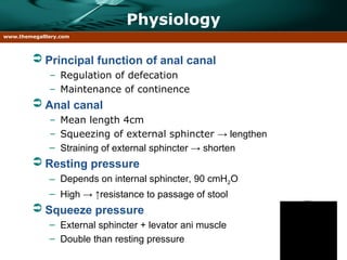 Anus & Anal Canal dr. jung.ppt1019837839 | PPT