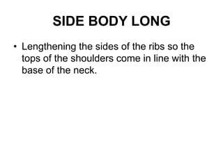 SIDE BODY LONGLengthening the sides of the ribs so the tops of the shoulders come in line with the base of the neck. 