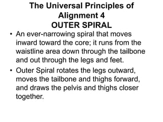 The Universal Principles of Alignment 4OUTER SPIRAL An ever-narrowing spiral that moves inward toward the core; it runs from the waistline area down through the tailbone and out through the legs and feet.Outer Spiral rotates the legs outward, moves the tailbone and thighs forward, and draws the pelvis and thighs closer together. 