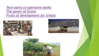 Tech-savvy co-operative banks
The power of Green
Fruits of development for tribals
 