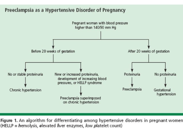 Pathophysiology Of Preeclampsia In Flow Chart