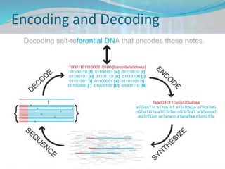 Encoding and Decoding
 