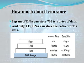 How much data it can store
 1 gram of DNA can store 700 terabytes of data.
 And only 1 kg DNA can store the entire worlds
data.
 