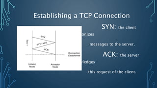 Parasitic Computing | PPTX