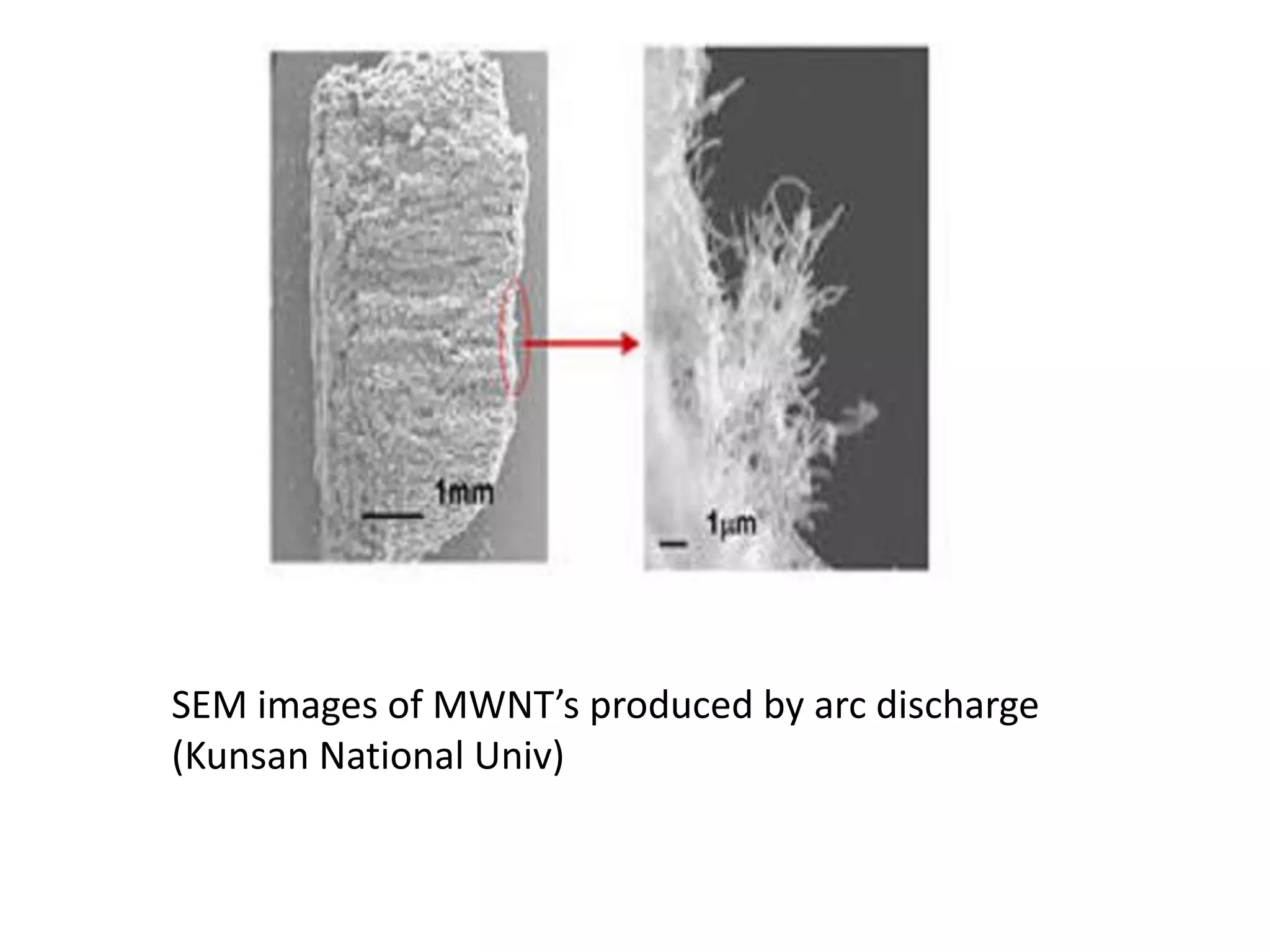 SEM images of MWNT’s produced by arc discharge
(Kunsan National Univ)
 