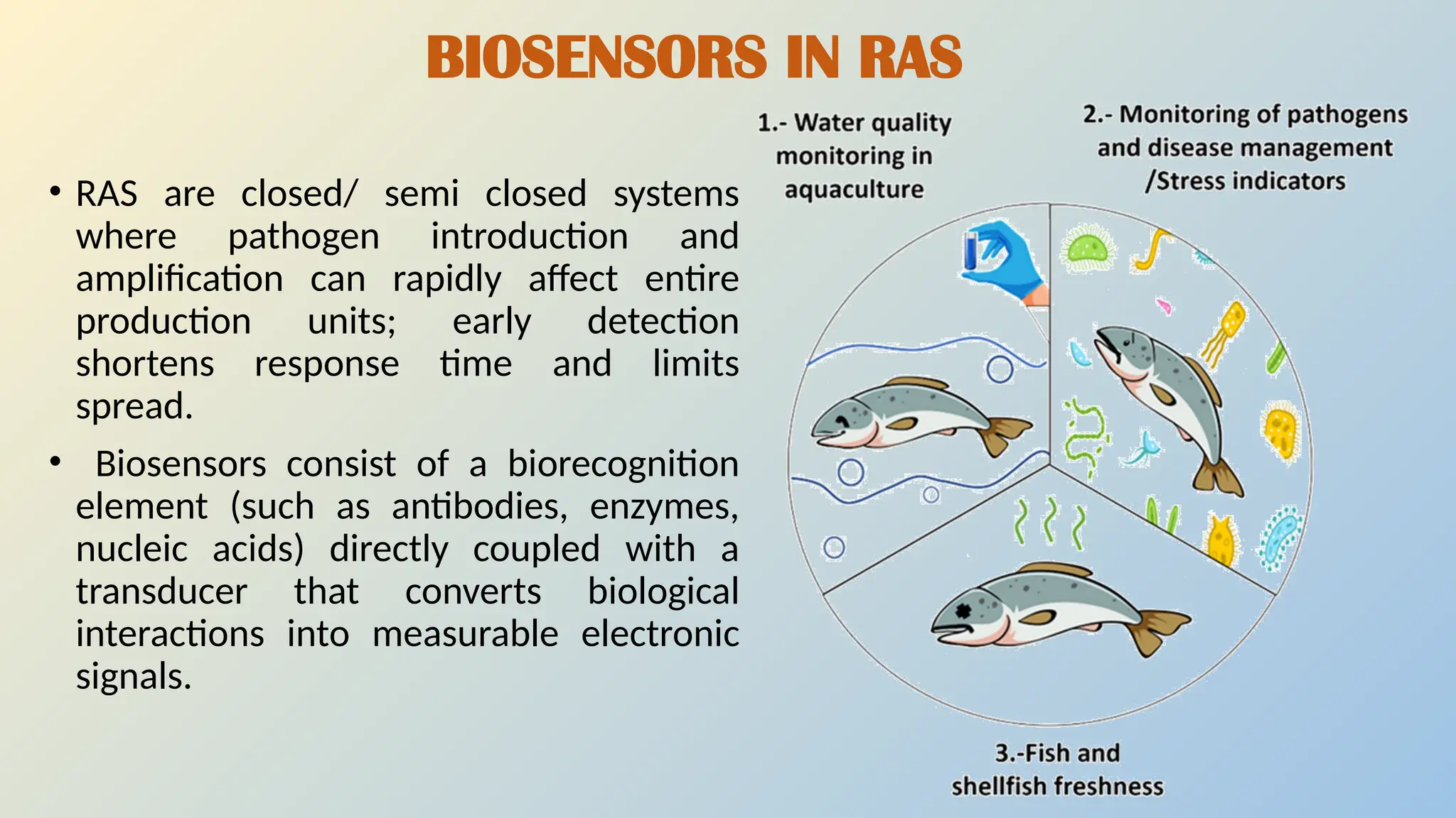ANUSUYA P BIOSENSOR uses RAS system.pptx
