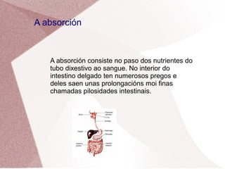 A absorción

A absorción consiste no paso dos nutrientes do
tubo dixestivo ao sangue. No interior do
intestino delgado ten numerosos pregos e
deles saen unas prolongacións moi finas
chamadas pilosidades intestinais.

 