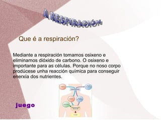 Que é a respiración?
Mediante a respiración tomamos osixeno e
eliminamos dióxido de carbono. O osixeno e
importante para as células. Porque no noso corpo
prodúcese unha reacción química para conseguir
enerxía dos nutrientes.

jue go

 