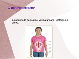 O aparello excretor

Esta formado polos riles, vexiga urinaria, ureteres e a
uretra.

 