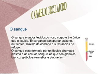 O sangue
O sangue é undos tecidosdo noso corpo e é o único
que é líquido. Encarganse transportar osixeno,
nutrientes, dioxido de carbono e substancias de
refugo.
O sangue esta formado por un líquido chamado
plasma e as células sanguinias que son glóbulos
branco, glóbulos vermellos e plaquetas .

 