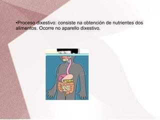 Proceso dixestivo: consiste na obtención de nutrientes dos
alimentos. Ocorre no aparello dixestivo.
●

 