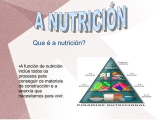 Que é a nutrición?

A función de nutrición
inclúe todos os
procesos para
conseguir os materiais
de construcción e a
enerxía que
necesitamos para vivir.
●

 