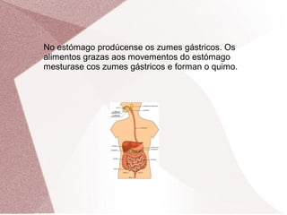 No estómago prodúcense os zumes gástricos. Os
alimentos grazas aos movementos do estómago
mesturase cos zumes gástricos e forman o quimo.

 