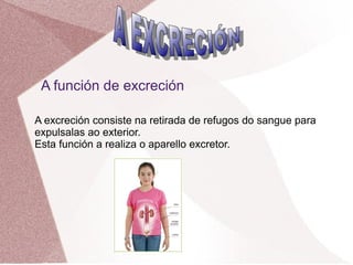 A función de excreción
A excreción consiste na retirada de refugos do sangue para
expulsalas ao exterior.
Esta función a realiza o aparello excretor.

 