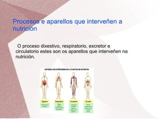 Procesos e aparellos que interveñen a
nutrición
O proceso dixestivo, respiratorio, excretor e
circulatorio estes son os aparellos que interveñen na
nutrición.

 