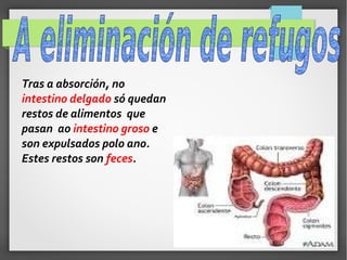 Tras a absorción, no
intestino delgado só quedan
restos de alimentos que
pasan ao intestino groso e
son expulsados polo ano.
Estes restos son feces.

 