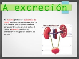 Na nutrición prodúcense substancias de
refugo que pasan ao sangue pero que hai
que eliminar. Non se poden acumular
porque senón poden producir incluso á
morte. A excreción consiste na
eliminación de refugos que pasaron ao
sangue.

 