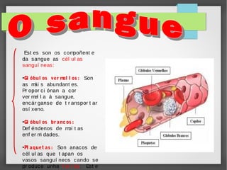 Est es son os compoñent e
da sangue as cél ul as
sanguí neas:
Gl óbul os ver m l os : Son
el
as m s abundant es.
ái
Pr opor ci ónan a cor
ver mel l a á sangue,
encár ganse de t r anspor t ar
osí xeno.
●

Gl óbul os br a ncos :
Def éndenos de m t as
oi
enf er m dades.
i
●

Pl a quet as : Son anacos de
cél ul as que t apan os
vasos sanguí neos cando se
pr oduce unha f er i da. Est e
●

 