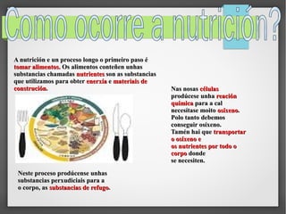 A nutrición e un proceso longo o primeiro paso é
tomar alimentos. Os alimentos conteñen unhas
substancias chamadas nutrientes son as substancias
que utilizamos para obter enerxía e materiais de
construción.

Neste proceso prodúcense unhas
substancias perxudiciais para a
o corpo, as substancias de refugo.

Nas nosas células
prodúcese unha reación
￺
química para a cal
necesítase moito osíxeno.
Polo tanto debemos
conseguir osíxeno.
Tamén hai que transportar
o osíxeno e
os nutrientes por todo o
corpo donde
se necesiten.

 