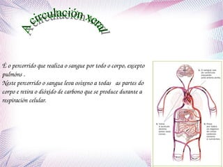 É o percorrido que realiza o sangue por todo o corpo, excepto 
pulmóns .
Neste percorrido o sangue leva osíxeno a todas   as partes do 
corpo e retira o dióxido de carbono que se produce durante a 
respiración celular.

 
