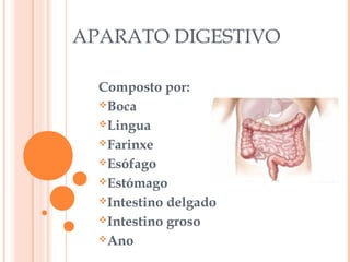 APARATO DIGESTIVO
Composto por:
Boca
Lingua
Farinxe
Esófago
Estómago
Intestino delgado
Intestino groso
Ano

 