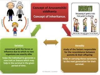 Concept of Anuvamshiki
siddhanta
Concept of inheritance.
Heredity
study of the factors responsible
for the resemblance between
parents & their offspring
helps in carrying these variations
to the next generation for their
survival.
Variation
concerned with the forces or
influence due to which no two
organisms are exactly alike
helps the individual to generate a
new trait or feature which may
help in the survival in the given
period of time.
4/18/2019 dr indusree c suseelan 10
 