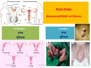 Beeja bhaga-
बीजस्याङ्गप्रत्यङ्गशनववतवको भागो बीजभागः
In females :-
वन्ध्य
पूशतप्रजा
In males:-
वन्ध्य
पूशतप्रजा
4/18/2019 dr indusree c suseelan 6
 