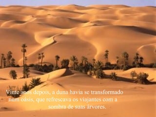 Vinte anos depois, a duna havia se transformado  num oásis, que refrescava os viajantes com a  sombra de suas árvores.  