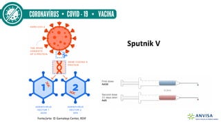 Sputnik V
Fonte/arte: © Gamaleya Center, RDIF
 