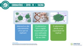 Adenovírus são
naturalmente
vírus que se
replicam
O adenovírus
tem a região
responsável por
sua replicação
(E1) removida
d...