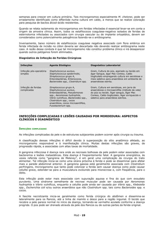 semanas para crescer em cultura primária. Tais microrganismos especialmente M. chelonei, pode ser
erradamente identificado como difteróide numa cultura em caldo, a menos que se realize coloração
para pesquisa de bacilos álcool-ácido resistentes.

Quando se relata isolamento de microrganismos em feridas infectadas é essencial levar-se em conta a
origem da amostra clínica. Assim, todos os estafilococos coagulase-negativa isolados de feridas de
esternotomia infectadas ou associados com cirurgia vascular ou de implante ortopédico, devem ser
considerados como potencialmente patogênicos fazendo-se o antibiograma.

Inversamente, baixo número de estafilococos coagulase negativa associado com flora entérica em
ferida infectada de incisão no cólon deveria ser descartada não devendo realizar antibiograma neste
caso. A razão dessa conduta é que tal microrganismo não constitui problema clínico e irá desaparecer
quando outros patógenos forem eliminados.

Diagnóstico de Infecção de Feridas Cirúrgicas

 Infecções                 Agente Etiológico                      Diagnóstico Laboratorial

 Infecção pós-operatória   Staphylococcus aureus,                 Gram, Cultura do pús, aspirado ou tecido em
 simples                   Staphylococcus epidermidis,            ágar Sangue, ágar Mac Conkey, Caldo
                           Streptococcus grupo A,                 tioglicolato empregando cultura em aerobiose e
                           Enterobactérias, Enterococos,          meio seletivo para anaeróbios em ambiente de
                           Bacteroides spp., Clostridium spp.     anaerobiose estrita.

 Infecção de feridas       Streptococcus grupo A,                 Gram, Cultura em aerobiose, em jarra de
 complicadas               Staphylococcus aureus,                 anaerobiose e microaerofilia (método da vela)
                           Enterobactérias, Pseudomonas           do pús ou tecido. Ágar sangue, Ágar Mac
                           spp., Aeromonas hydrophila,            Conkey, Caldo tioglicolato, Ágar enriquecido e
                           Vibrio vulnificus, Bacteroides spp.,   seletivo para anaeróbios estritos.
                           Clostridium spp., cocos
                           anaeróbios, cocos microaerófilos,
                           Fusobacterium spp.



INFECÇÕES COMPLICADAS E LESÕES CAUSADAS POR MORDEDURA: ASPECTOS
CLÍNICOS E DIAGNÓSTICO


INFECÇÕES   COMPLICADAS


As infecções complicadas da pele e de estruturas subjacentes podem ocorrer após cirurgia ou trauma.

A classificação dessas infecções é difícil devido à superposição do sítio anatômico afetado, ao
microrganismo responsável e à manifestação clínica. Muitas destas infecções são graves, de
progressão rápida, e associadas com altas taxas de mortalidade.

A gangrena infecciosa é doença rara onde as necroses bolhosas da pele podem estar associadas com
bacteremia e lesões metastáticas. Esta doença é freqüentemente fatal. A gangrena sinergística, às
vezes referida como “gangrena de Meleney”, é em geral uma complicação da cirurgia do trato
alimentar. Tal infecção inicia-se como uma úlcera próxima à ferida e pode se disseminar para afetar
mais a parede abdominal anterior. A gangrena gasosa está geralmente associada com Clostridium
perfringens, microrganismo que tanto pode colonizar a ferida sem causar doença como pode causar
celulite grave, estender-se para a musculatura evoluindo para mionecrose e, com freqüência, para o
óbito.

Esta infecção pode estar mais associada com supuração aquosa e fina do que com exsudato
purulento. Uma síndrome semelhante de necrose muscular pode ser causada por Aeromonas
hydrophila e Vibrio vulnificus, enquanto a celulite pode ainda ser causada por Vibrio spp., Klebsiella
spp., Escherichia coli e/ou outros anaeróbios que não Clostridium spp. tais como Bacteroides spp. e
cocos.

A fasciite necrotizante inicia-se geralmente como ferida cirúrgica do abdômen e dissemina-se
lateralmente para os flancos, até a linha de mamilo e desce para a região inguinal. O tecido que
recobre a pele parece normal no início da doença, tornando-se vermelho azulado conforme a doença
progride. O pús pode ser drenado através da pele dos flancos ou de outras partes da ferida original.



                                                  Mod - 19
 