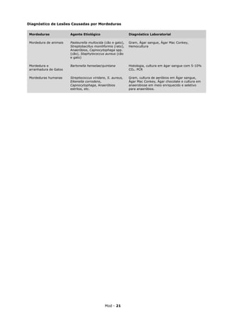 Diagnóstico de Lesões Causadas por Mordeduras

Mordeduras             Agente Etiológico                      Diagnóstico Laboratorial

Mordedura de animais   Pasteurella multocida (cão e gato),    Gram, Ágar sangue, Ágar Mac Conkey,
                       Streptobacillus moniliformis (rato),   Hemocultura
                       Anaeróbios, Capnocytophaga spp.
                       (cão), Staphylococcus aureus (cão
                       e gato)

Mordedura e            Bartonella henselae/quintana           Histologia, cultura em ágar sangue com 5-10%
arranhadura de Gatos                                          CO2. PCR

Mordeduras humanas     Streptococcus viridans, S. aureus,     Gram, cultura de aeróbios em Ágar sangue,
                       Eikenella corrodens,                   Ágar Mac Conkey, Ágar chocolate e cultura em
                       Capnocytophaga, Anaeróbios             anaerobiose em meio enriquecido e seletivo
                       estritos, etc.                         para anaeróbios.




                                              Mod - 21
 