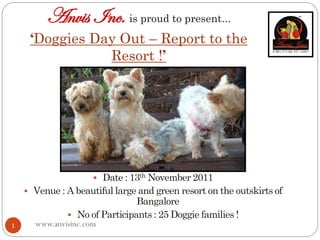 Anvis Inc. is proud to present...
    ‘Doggies Day Out – Report to the
               Resort !’




1   www.anvisinc.com
 