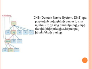 DNS (Domain Name System, DNS) դա
բաշխված տվյալների բազա է, որը
պահում է իր մեջ համակարգիչների
մասին ինֆորմացիա,ներառյալ
ինտերնետի ցանցը:
 