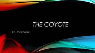 THE COYOTE 
by: Anwar Arshad 
 